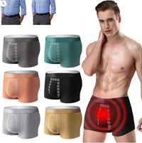 (Buy 1 Get 3 Free) Men's Ice Silk Briefs Boxers Shorts Underwear Multicolor